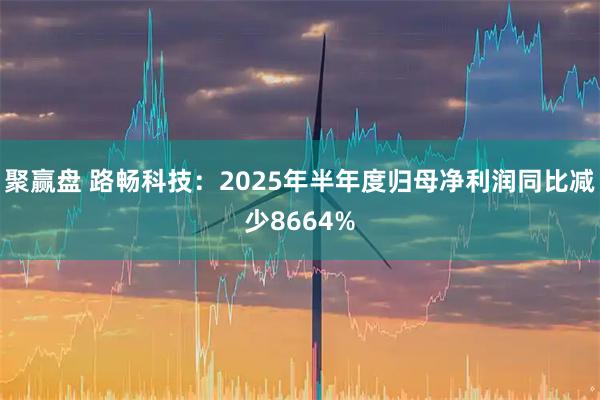 聚赢盘 路畅科技:2025年半年度归母净利润同比减少8664%