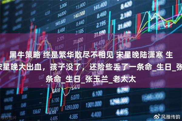 黑牛策略 终是繁华散尽不相见 宋星晚陆潇寒 生孩子那天，宋星晚大出血，孩子没了，还险些丢了一条命_生日_张玉兰_老太太